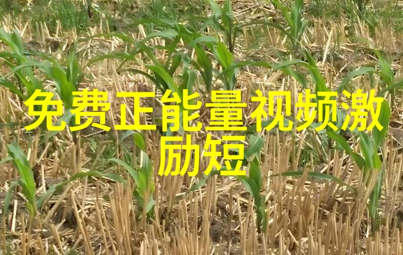 人物事迹百科钻石级英雄故事简介