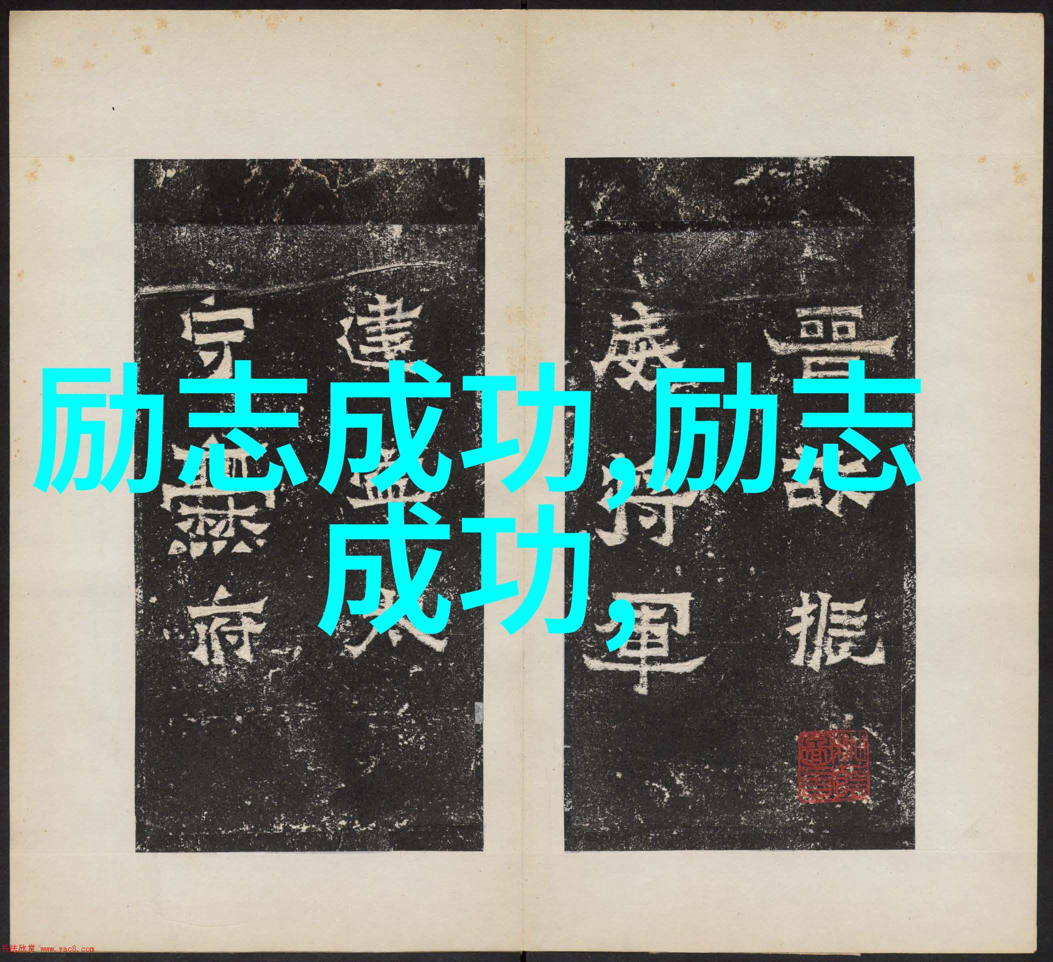 逆袭之我如何用一张纸巾和一个梦想征服了世界