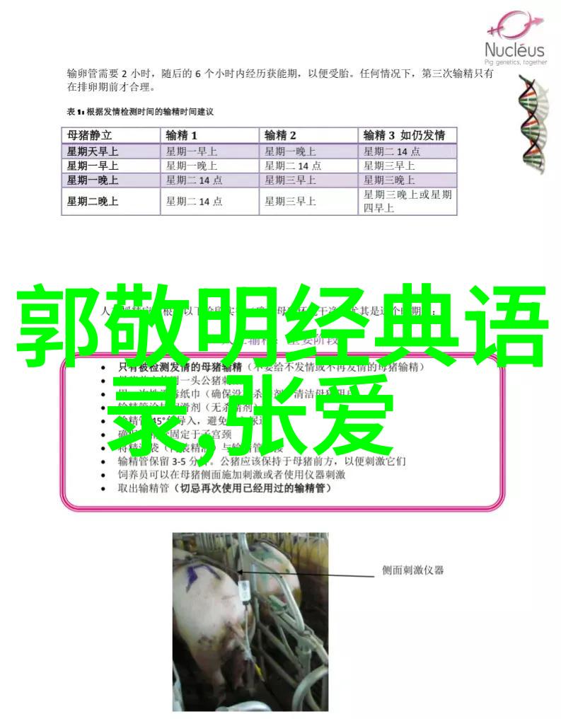名人如何运用偶像力量影响社会价值观