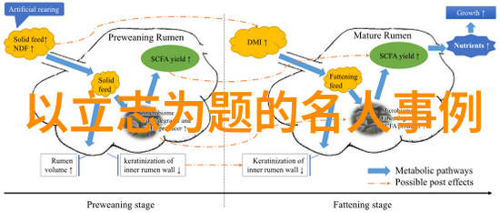 面对困难和逆境90后青年楷模是如何坚持不懈的