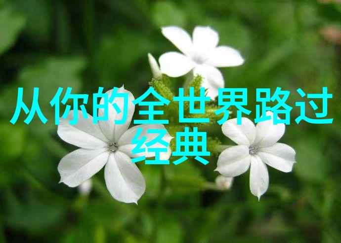 男人帮经典语录点石成金的智慧之光