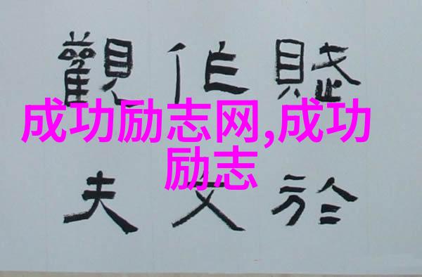 励志-马克扎克伯格从哈佛大学到Facebook帝国的创业之旅