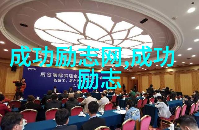 星光之下梦想的火花偶像激励人成功的故事
