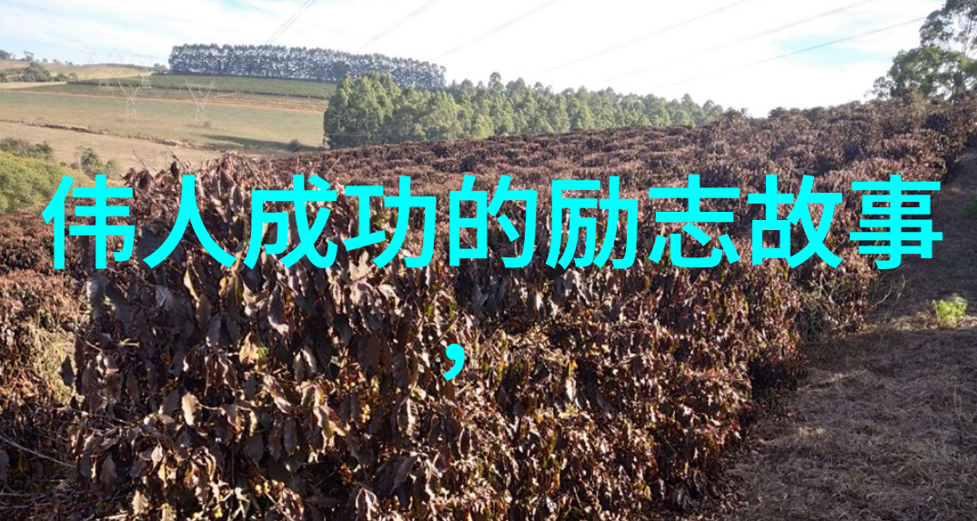 励志青年人物故事-李明的逆袭之旅