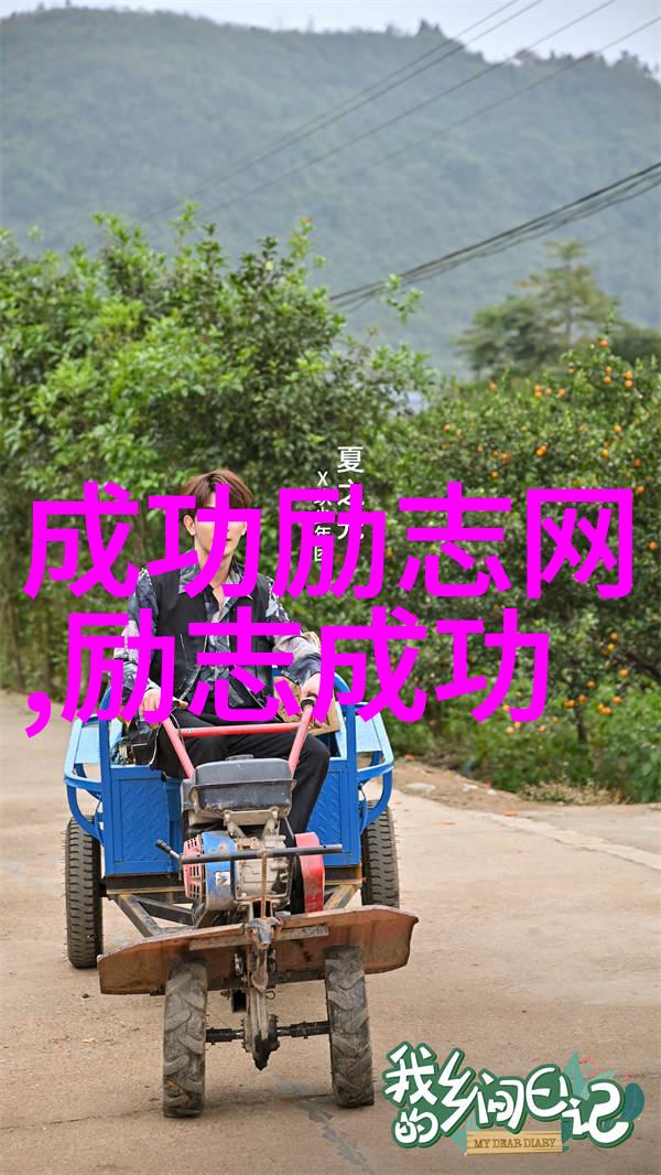 从荧屏到现实人物塑造艺术探究