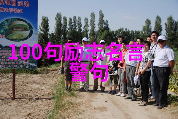 逆袭的密码成功之谜在何方