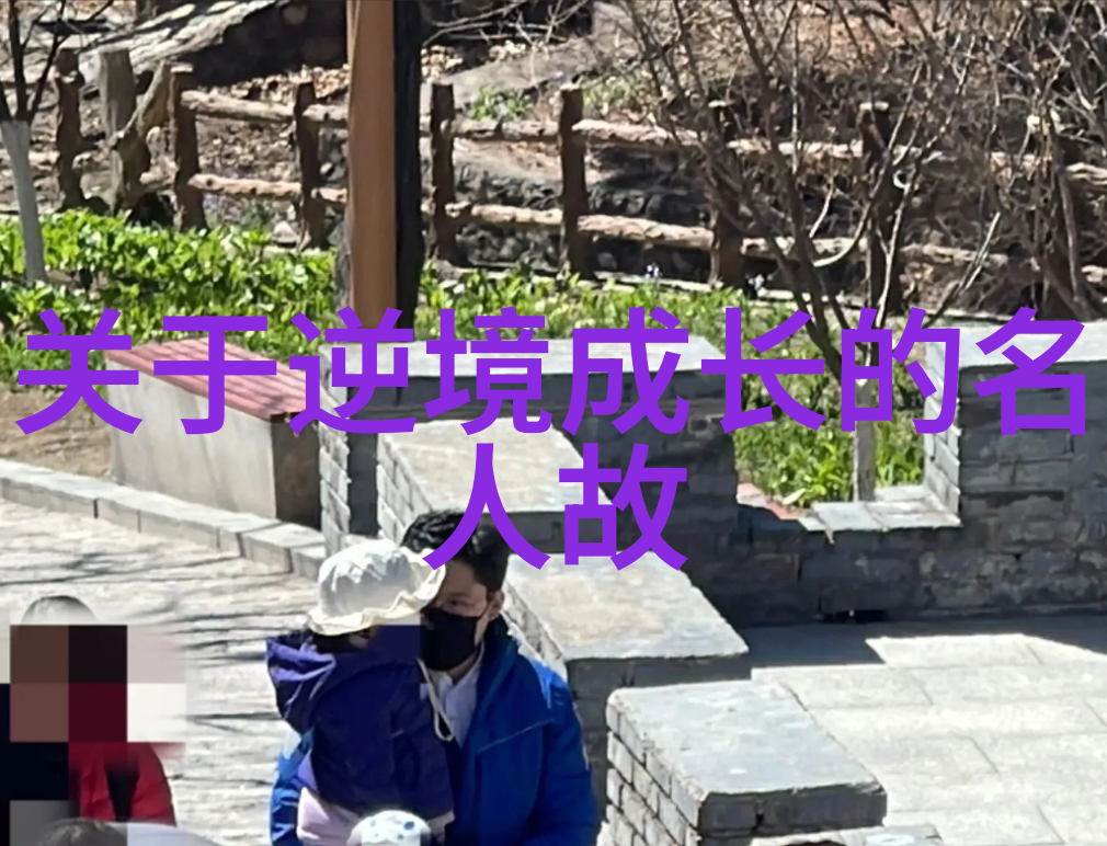 李小龙的武术梦想与国际电影传奇