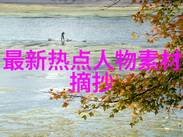偶像粉丝团的奋斗者追逐梦想的忠实支持者