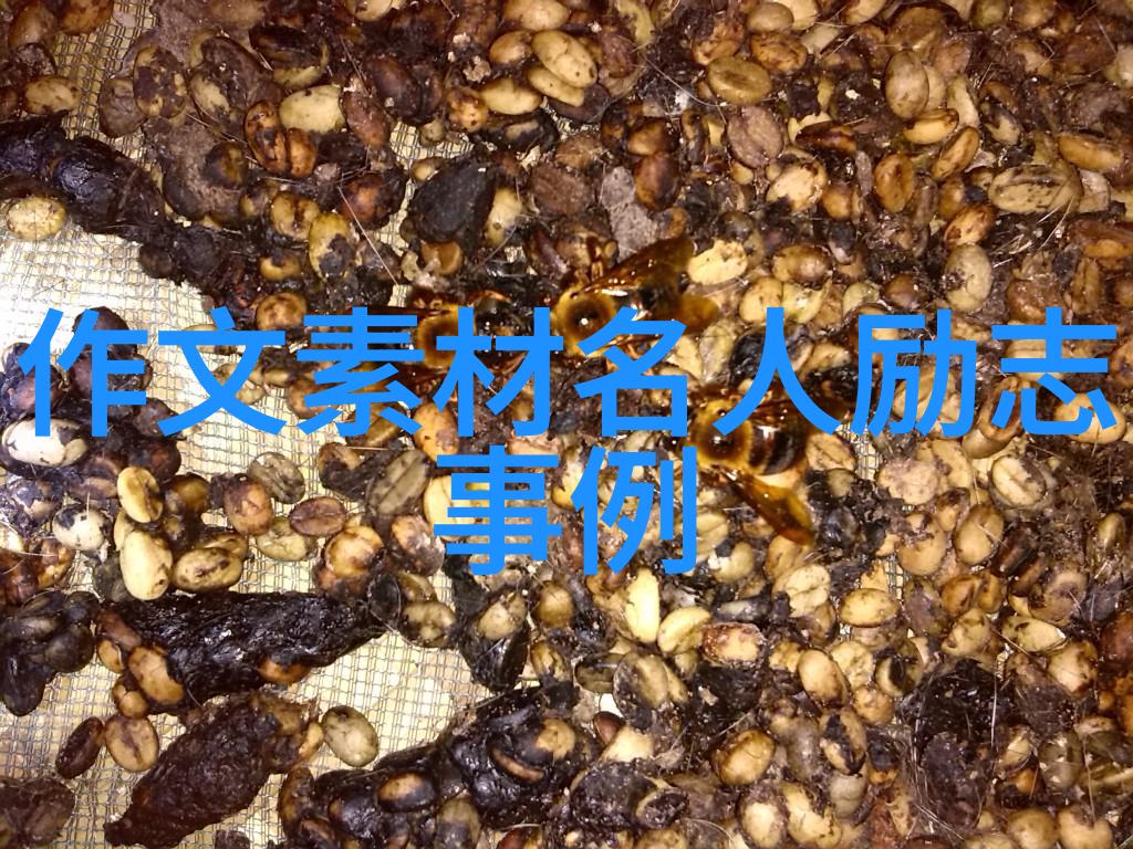 遇见你之前我从未梦想过能爱到生命尽头的极致