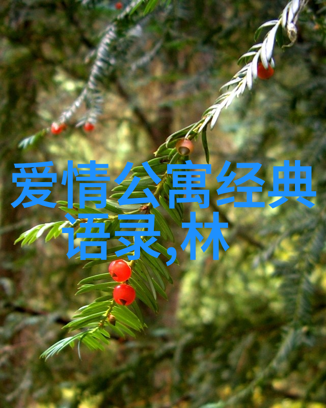 追梦者之旅成功励志的不懈追求