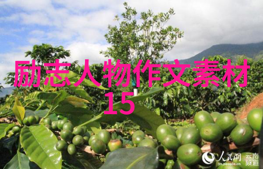 疯狂之声记忆的裂缝