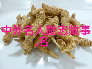 辉煌征程从零到英雄的不屈斗志