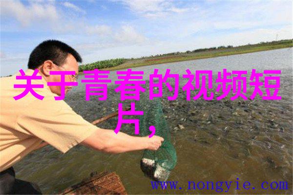 莫言经典语录我一直在想我们的生活就像一张张故事