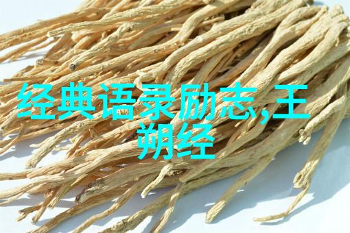 昆德拉智语探秘解读经典中的深层意境