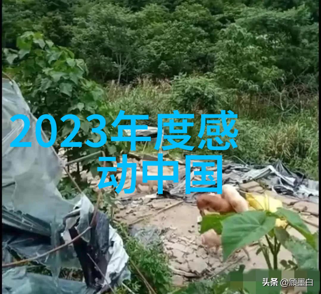 毛主席经典语录 - 梦想与行动李雷的奋斗故事