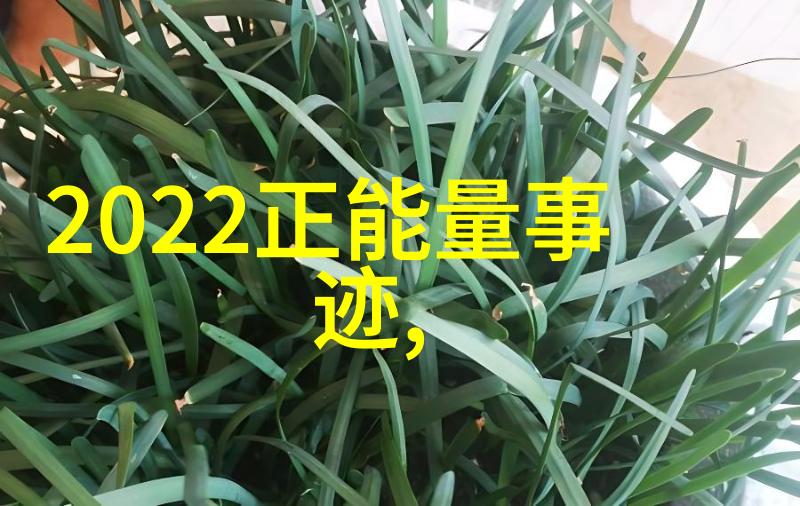 爱情公寓经典语录我曾经说过的那些爱不释手的话