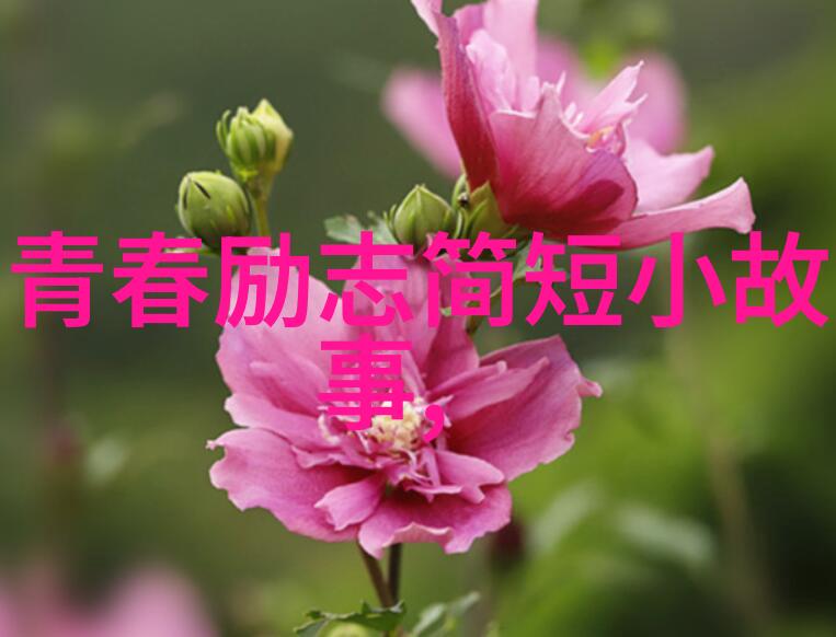文学与思想-莫言经典语录探索传统与现代的交汇