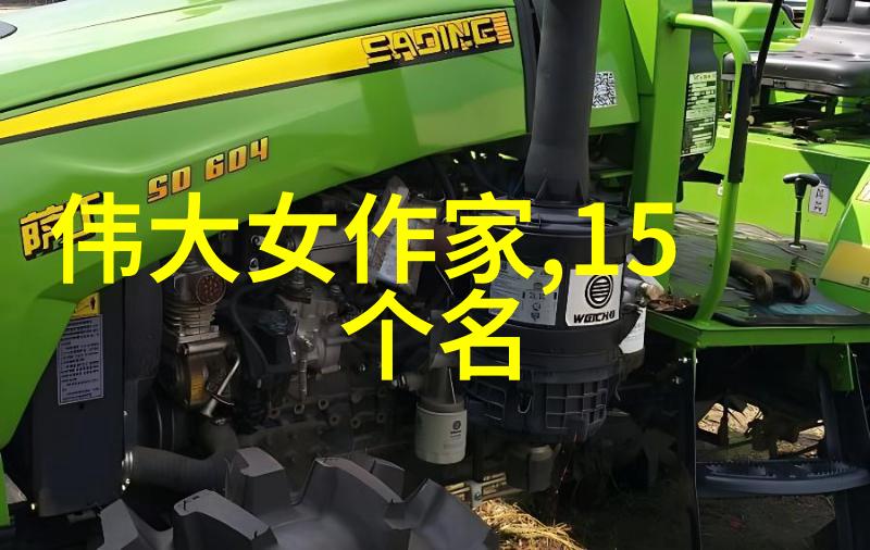 笙箫默中的意境探究解读其经典语录的文化内涵与文学价值