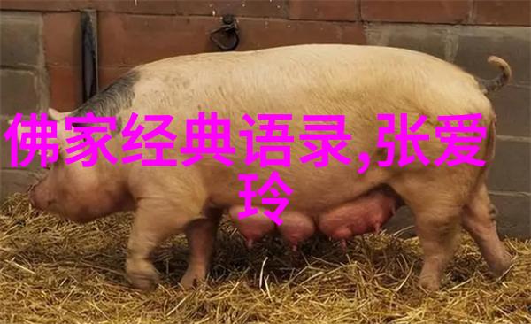 科技创新领域的巨星他们如何影响现代社会