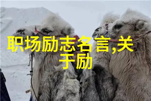 挑战自我跨越界限如何成为行业内的一流专家