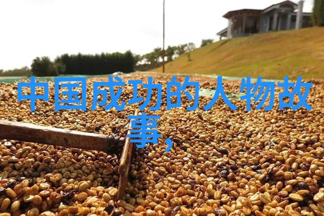 逆袭之旅从一名小学生到成功企业家的辉煌历程