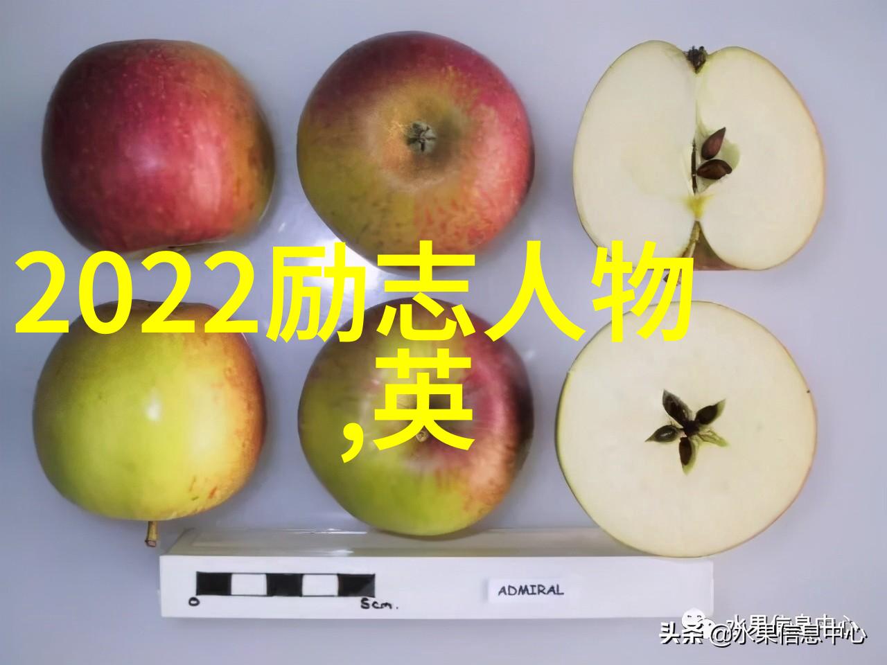 入园第一天探秘古典园林中的智慧语录