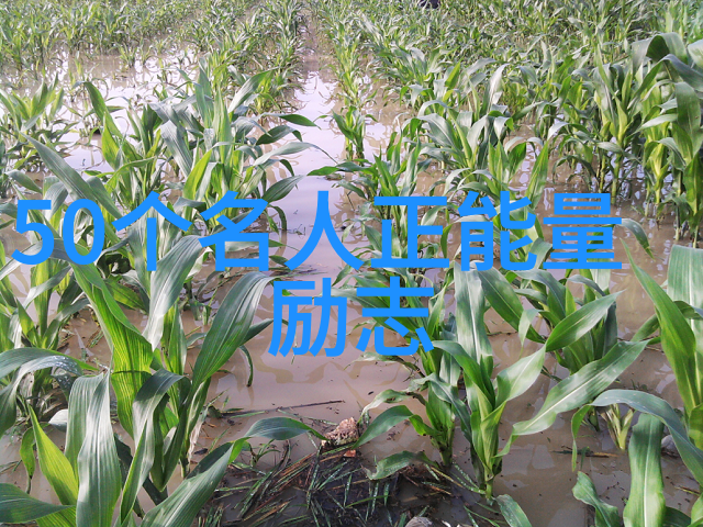 勇气是胜利的一半未来的你我信你行