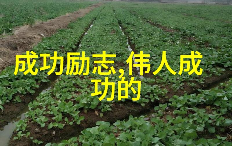 跨文化奇迹李连杰与查理卓别林的不朽精神