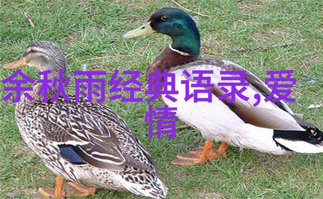 爱情经典留言语句