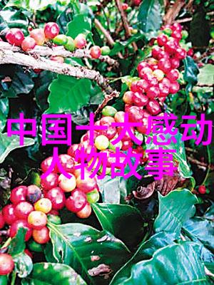 男朋友的超甜情话背后4大原因他老是夸我的小兔子