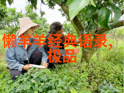 人物素材摘抄20字-李现逆袭的钢铁侠