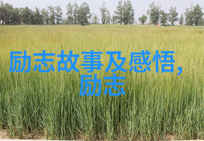 激励人心的力量如何通过视频短片提升团队士气
