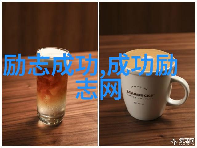 励志故事传记激励人心的传奇经历