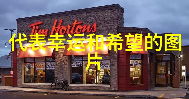 梦想与现实的碰撞青年人的内心世界又是怎样的呢
