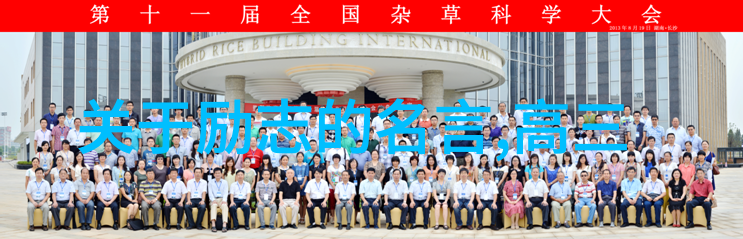 中国伟人的励志故事我的英雄征程