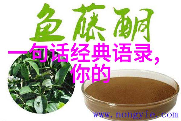 爱情是一颗心找到另一颗心而不是一张脸找到另一张脸