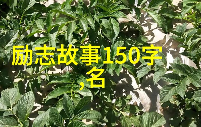 在社会中面对丈夫出轨妻子的困境我们应该如何应对作为受害者我选择了勇敢地站出来寻求解决的道路