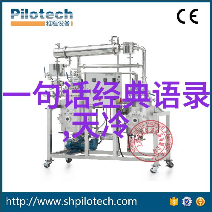 感恩的心100条经典语录的智慧之旅