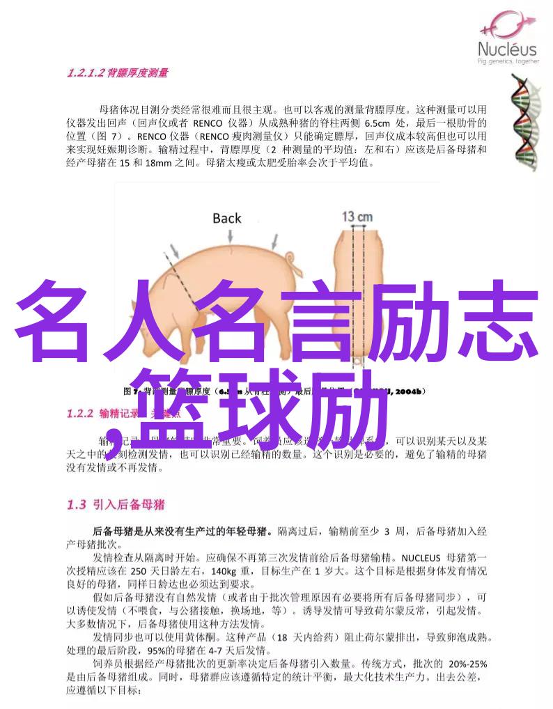 时光的秘密明天与意外的先后之谜