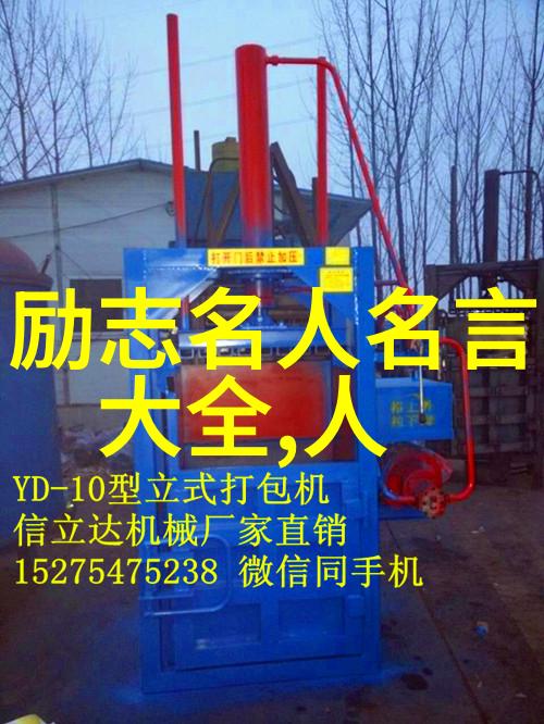 青春启航激励高三的辉煌誓言