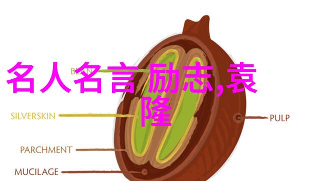 回忆中的旋律后来的我们经典语录的故事背后