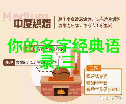 百年孤独经典语录我是那块被风雨侵蚀的石头你们每个人都是这片土地上的种子