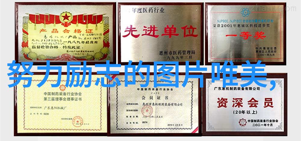 极品公子经典语录浪漫风范与高门贵族的智慧