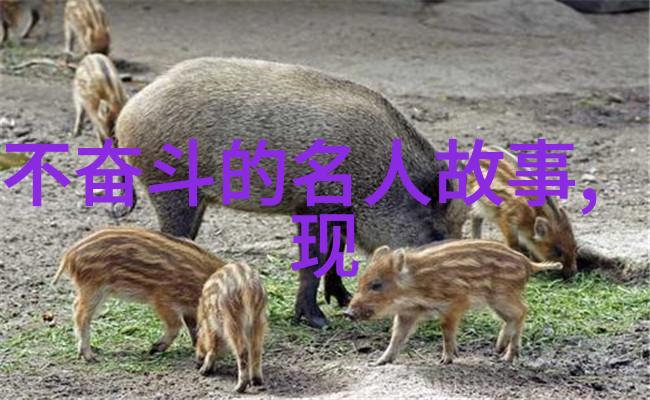 雪中悍刀行冰冷雪域中的经典智慧与勇气