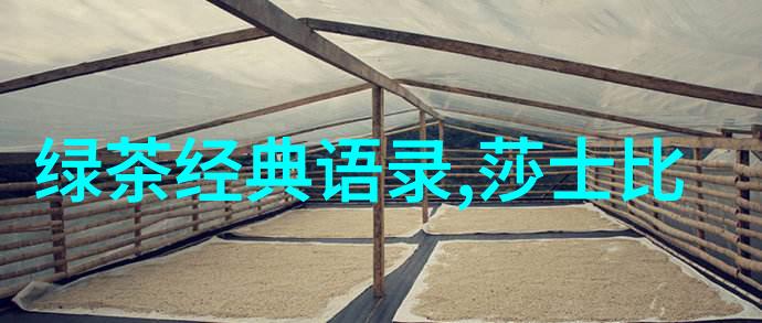 涂磊经典语录探究解读其在当代学术与文化中的价值与影响