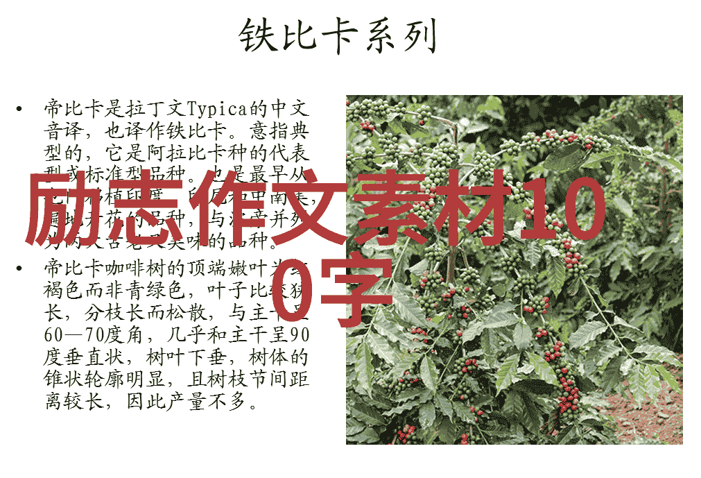 夫妻自愿离婚协议书我和老婆的分手协定