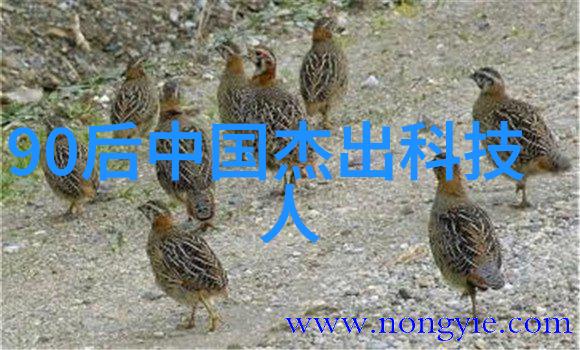 告别拥挤断舍离经典语录解析