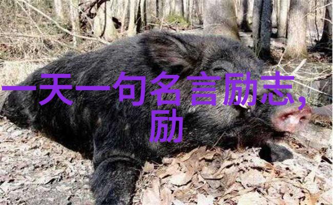 七夕之夜情意绵密温柔语录让爱在心间绽放