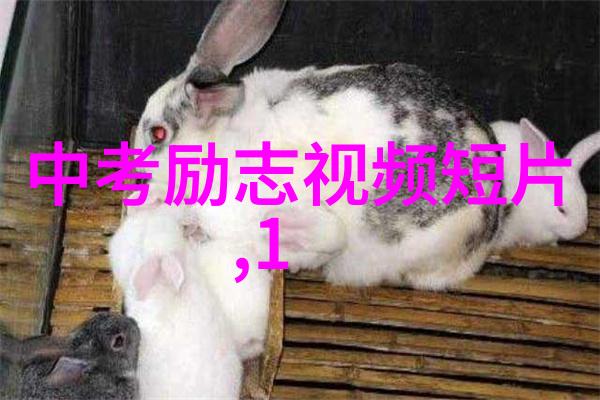 冬夜里的温暖春日里的一夜