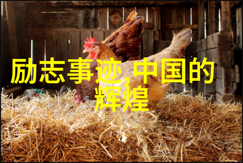 在忙碌中寻找免费友情链接你是否曾被牵挂